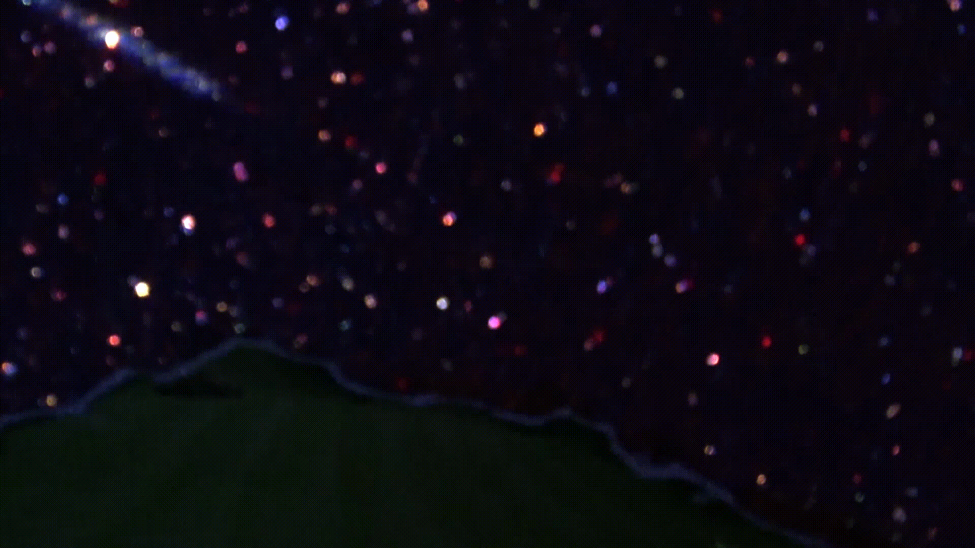 under eyelids / Fondazione Pastificio Cerere, Rome, IT / 2025