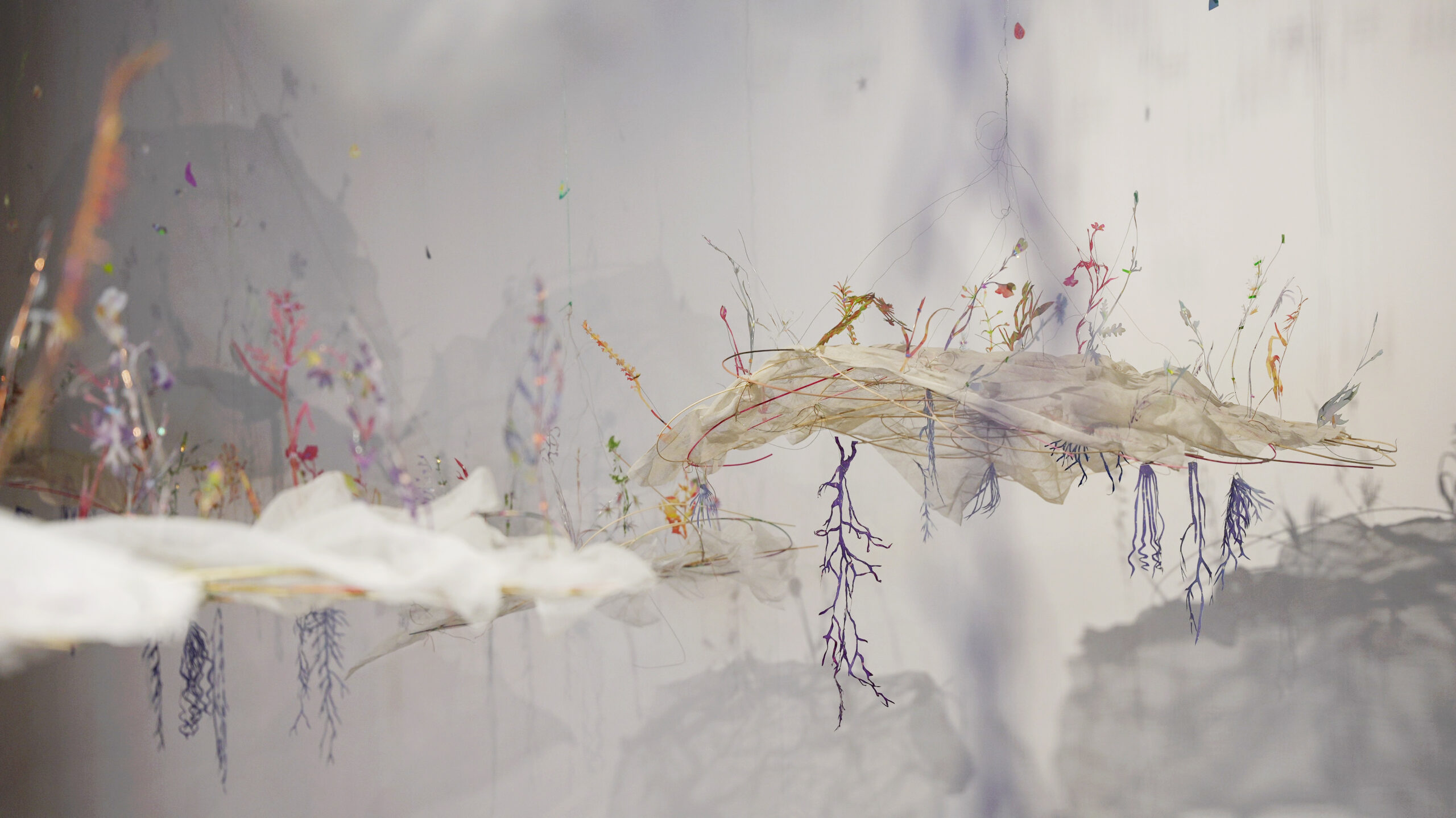 meadow / Rondo Sztuki Gallery, Katowice, PL / 2025