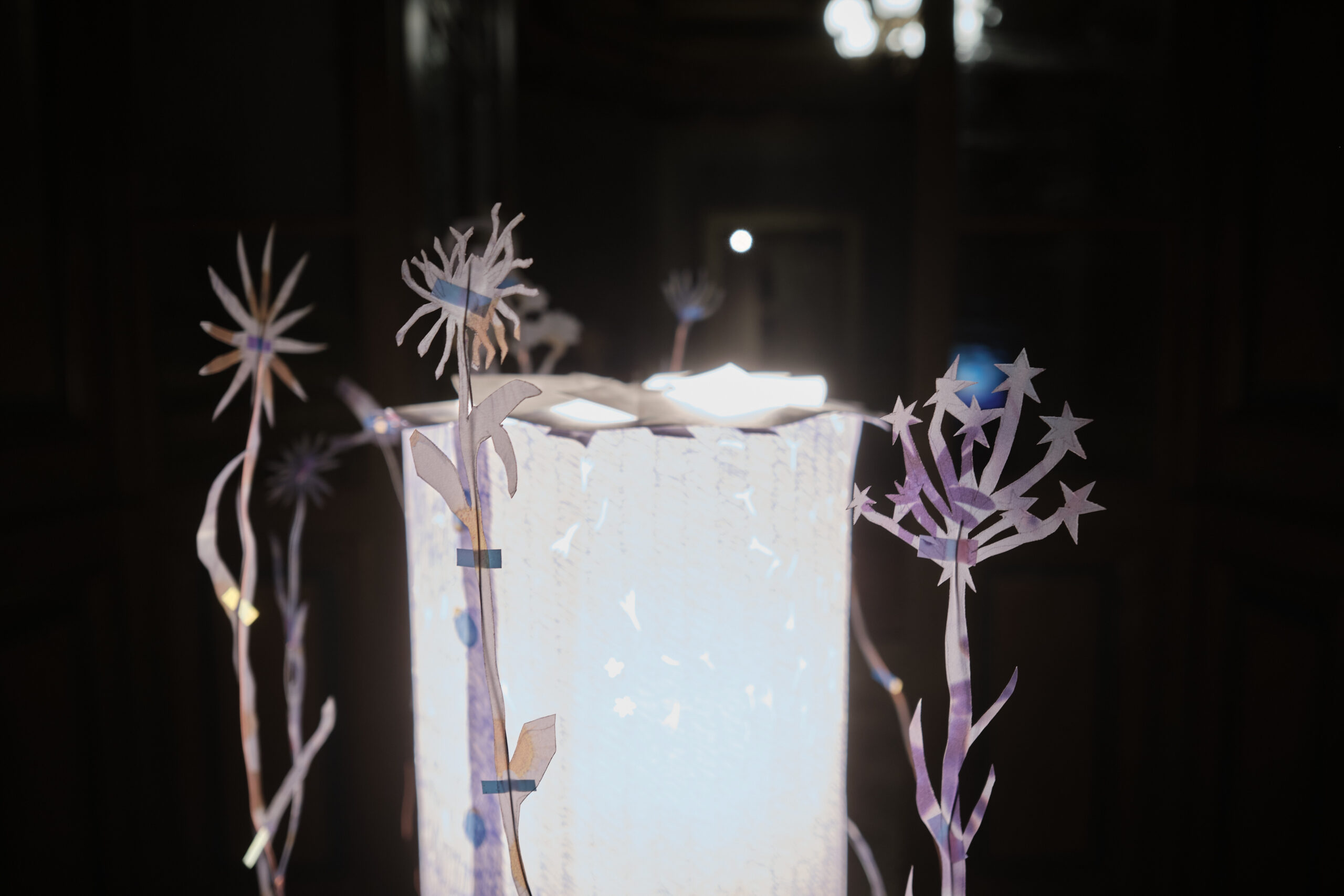 blue / Kamienica Hilarego Majewskiego, Lodz, PL / 2024