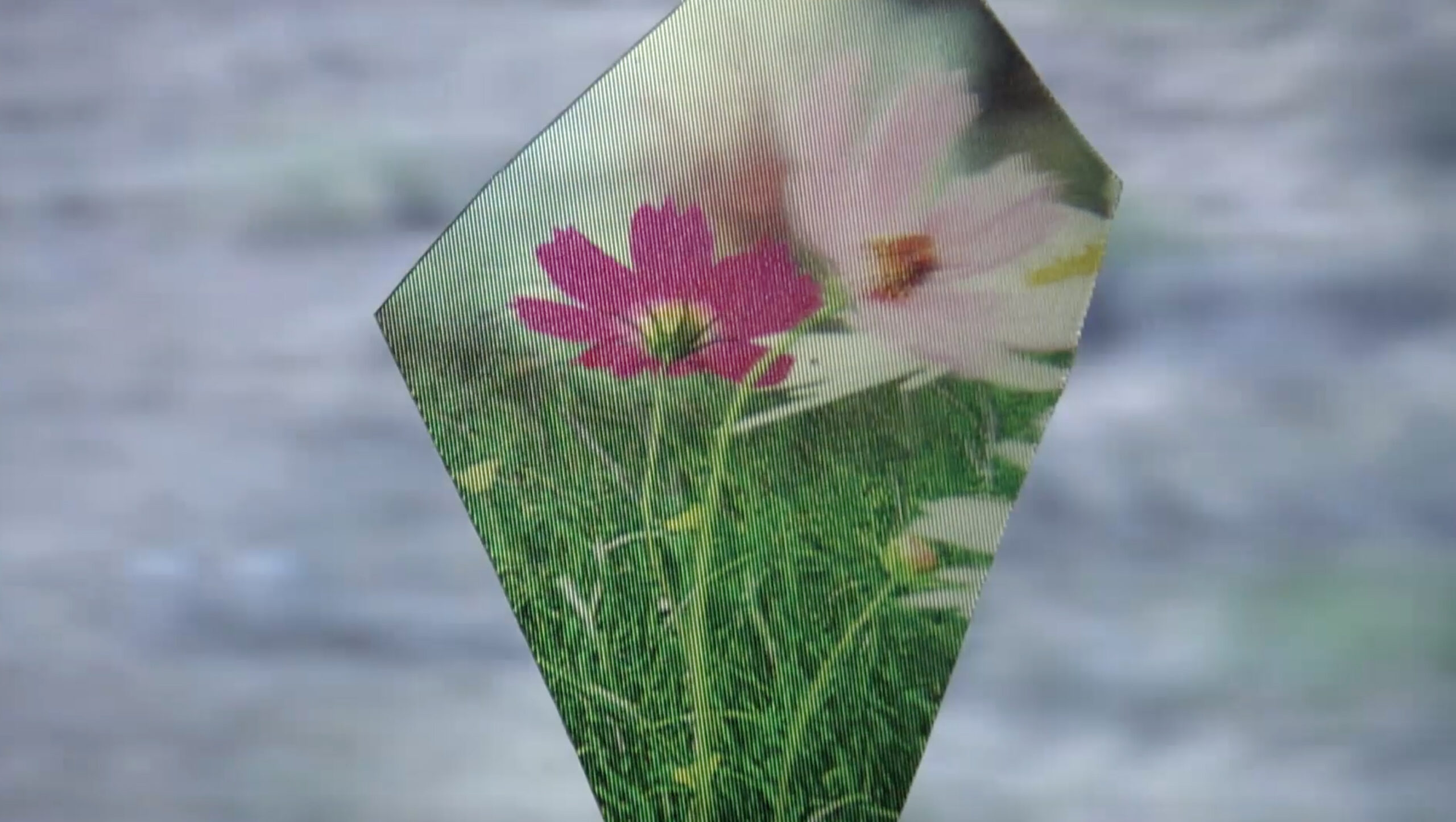 Likeness / The Łódź of Many Cultures Festival, Lodz, PL / 2022